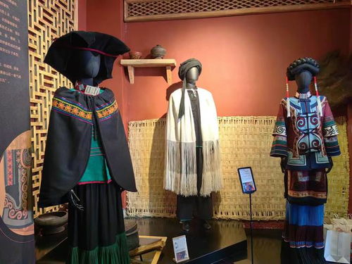 麗江古城新增民族文化新地標,民族服飾博物館開館