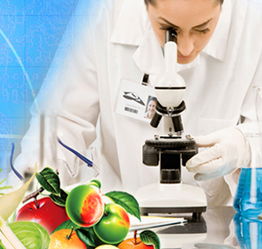 山東檢驗(yàn)檢疫局食品農(nóng)產(chǎn)品檢測中心 黨員技術(shù)服務(wù)熱線，筑牢食品安全防線